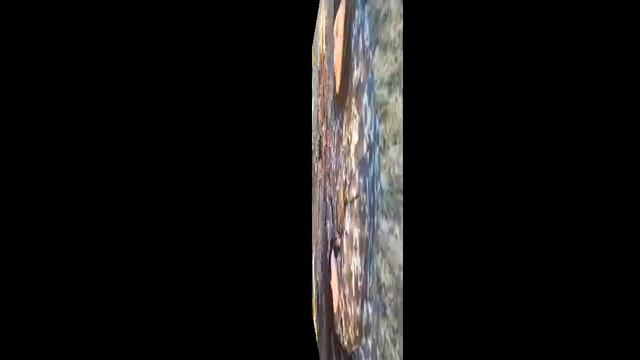 Река Шерна. Рыбалка. В поисках налима .Рыбалка на Шерне. Отдых. смотреть онлайн