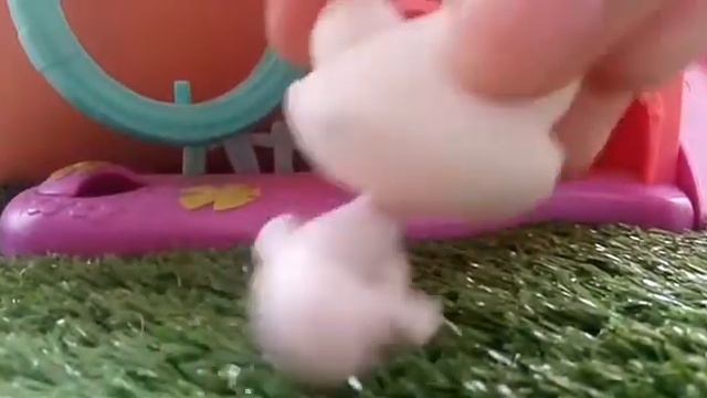 теби от джет сет)0)