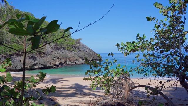 4К. Доминикана. Пляжи при экскурсии на Саману. смотреть онлайн