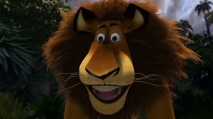 Лев Алекс напугал всех Фосс. "Это моя добыча" | Мадагаскар