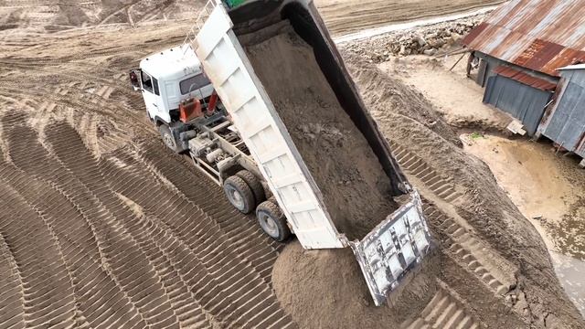 Bulldozer SHANTUI Push Soil Sand With Excavator KOBELCO Fores  Tree