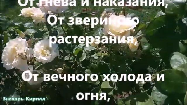 СИЛЬНАЯ МОЛИТВА АНГЕЛУ,НА СВОЙ ДЕНЬ РОЖДЕНИЯ ОТ ПОРЧИ, ВРАГОВ И БОЛЕЗНИ(ОБЕРЕГ) | ЗНАХАРЬ-КИРИЛЛ✝☦ смотреть онлайн