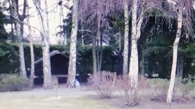 Удобрения для газона. Подкормка газона. смотреть онлайн