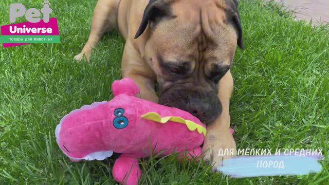 PU2002PK Мягкая игрушка для собак с пищалкой Pet Universe Крокодил, длина 37 см смотреть онлайн