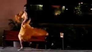 Индийский клип