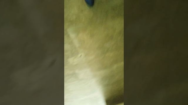 31 ник ето посхалка