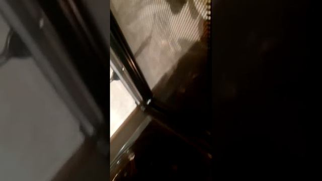 Реакция кипения воды, при появление стороннего предмета в горячей воде(: смотреть онлайн