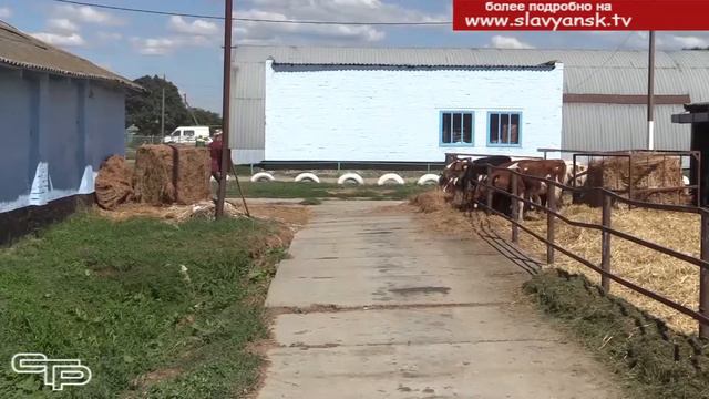 У истоков молочной реки смотреть онлайн