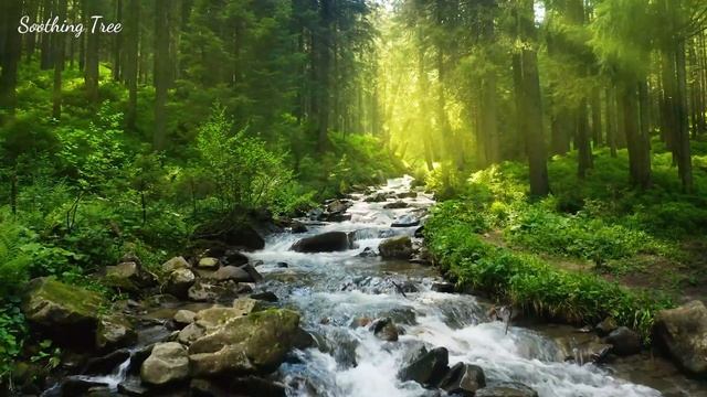 Расслабляющая музыка успокаивает нервы ? Нежная музыка помогает освободить разум и снять стресс смотреть онлайн