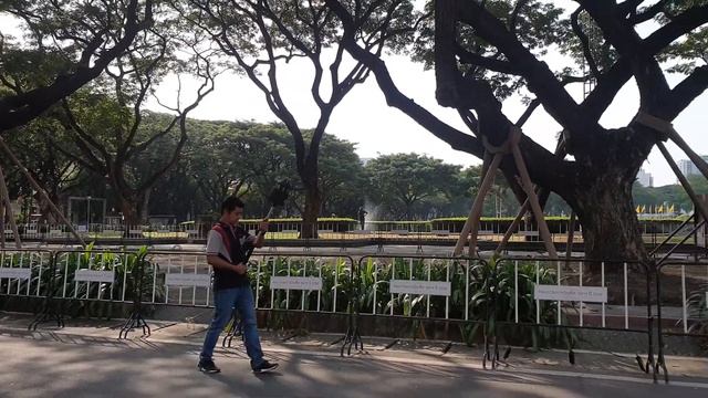 Big tree 3D scanner by PX-80 смотреть онлайн
