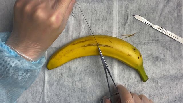 Хирургические узлы и швы | Шить на фруктах | Как начать студенту? смотреть онлайн