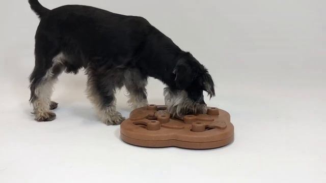 ОН игра-головоломка для собак Petstages Hide N Slide, 2 (средний) уровень сложности смотреть онлайн