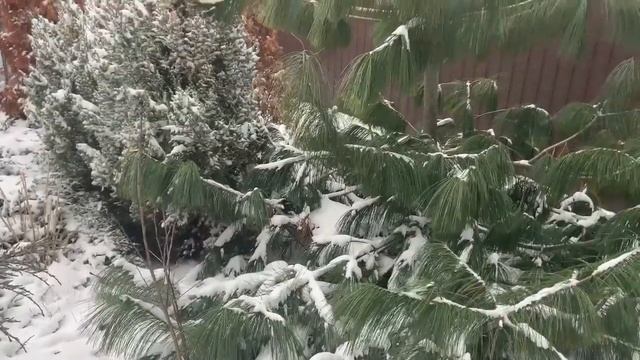 Музыка для души. смотреть онлайн