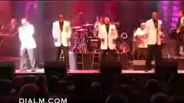 Las Vegas Motown Band #DIALM #Motown #Band смотреть онлайн