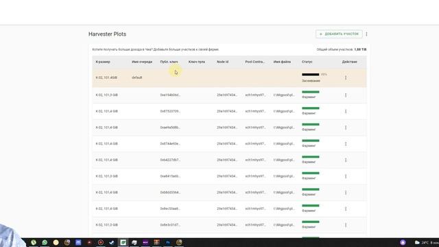 Некорректное отображение баланса в кошельке Chia Blockchain - Как исправить? | Минусовой баланс смотреть онлайн