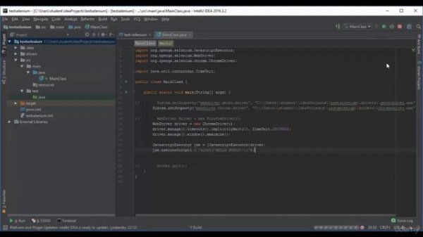 52 - Selenium WebDriver Java - Выполнение JavaScript