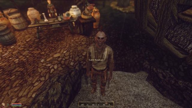 When a Morrowind Argonian goes to Skyrim смотреть онлайн