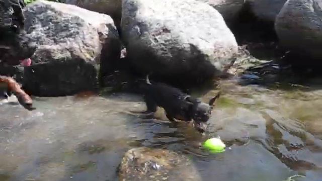 Smilla i vandet смотреть онлайн