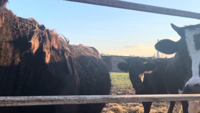 МАРИУПОЛЬ СЕГОДНЯ - ЭКСКУРСИЯ ПО ГОРОДУ! Я В ЗООПАРКЕ...✔ смотреть онлайн