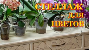 Мебель из дерева. Стеллаж. Вторая часть