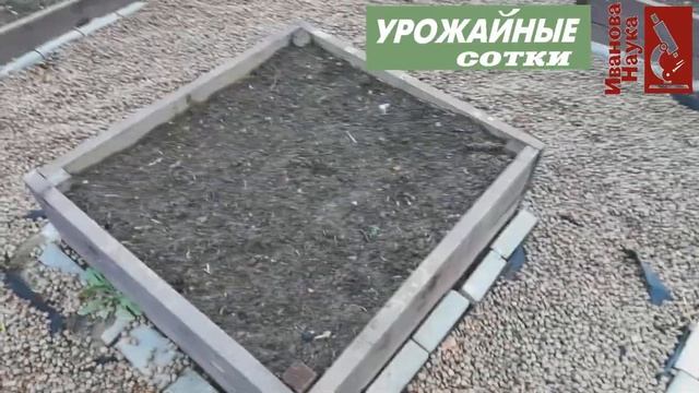 ОЗДОРОВЛЕНИЕ огорода УКРОПОМ! Как вырастить отличный укроп и извлечь из него максимум пользы. смотреть онлайн