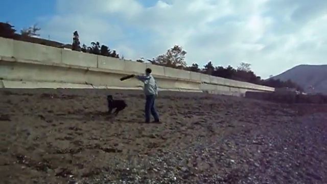 п-к Роман-Кош.Лирой Марион,Рой Судак,сын Роман-Кош Ай-Тодора (о.Добрыня Никитич -м. Балаклава Баско