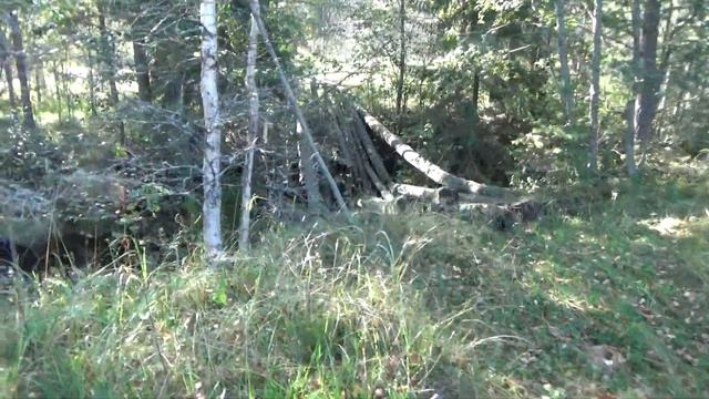 Варшавский гидроузел и выход к реке Чагода на Тихвинской водной системе. смотреть онлайн