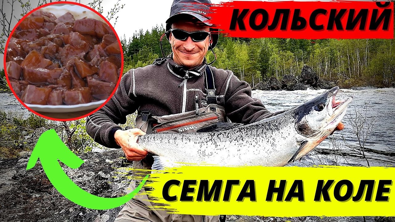 РЫБАЛКА НА КОЛЬСКОМ ПОЛУОСТРОВЕ. СЕМГА В САЧКЕ смотреть онлайн