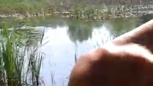 Натуризм Харьков 2021 Лето