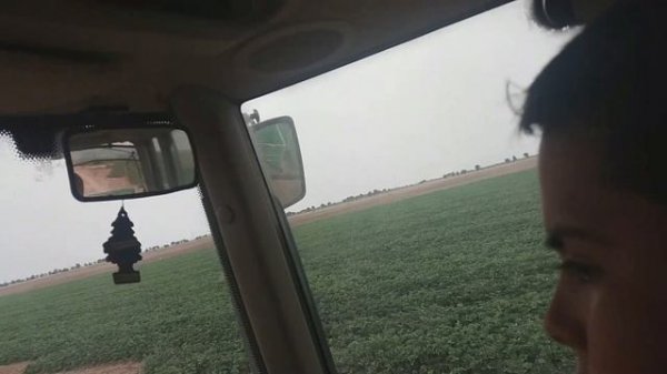 ?? Вот это дааа!! Мальчик-тракторист, 11 лет ребёнку !Chico de 11 años hecho un tractorista en Cu