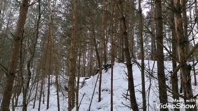 Первый свежий рог в сезоне 2021! смотреть онлайн