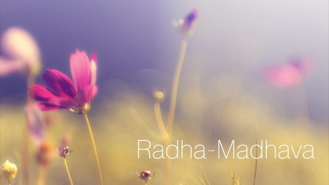 Radha Madhava смотреть онлайн