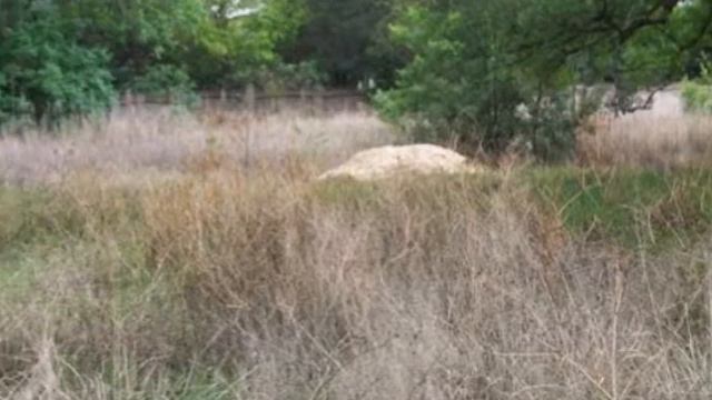 Vacant Land For Sale in Rynfield, Benoni, South Africa for ZAR R 2 250 000 смотреть онлайн