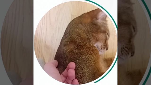 Лекси грызёт ногти ???