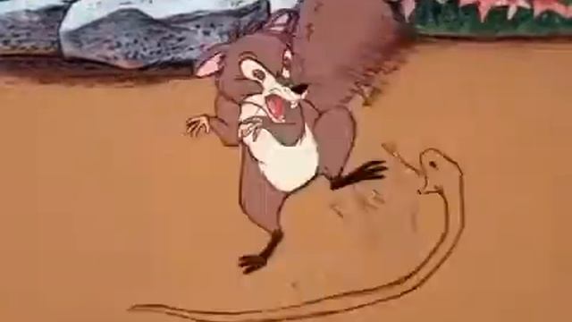Rikki tikki tavi • chuck jones (circa 1975) ? смотреть онлайн