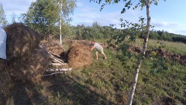 сила есть ума не надо // сено // хутор Загайки смотреть онлайн