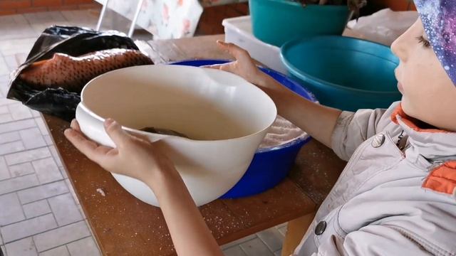 ЖАРЮ ИКРУ ? РАЗБИРАЮСЬ С РЫБОЙ ? смотреть онлайн