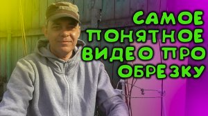 ОБРЕЗКА МЕТЕЛЬЧАТОЙ ГОРТЕНЗИИ ВЕСНОЙ В 3 ШТАМБА НА МАКСИМАЛЬНОЕ ЦВЕТЕНИЕ