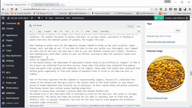 Wordpress Post Pagination смотреть онлайн