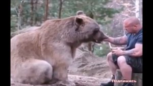 К чему снится МЕДВЕДЬ (МЕДВЕЖОНОК) | СОННИК