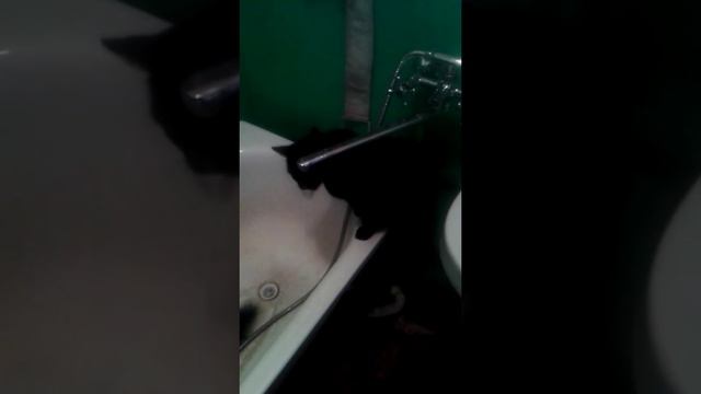 Из крана вода лучше)))) смотреть онлайн