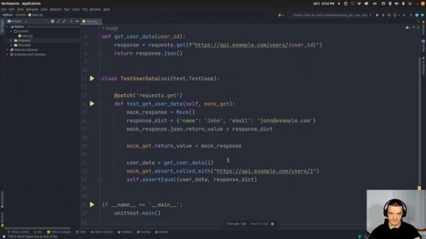 Professional Python Testing with Mocks