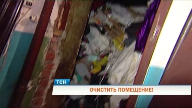 В Перми мать и сын захламили квартиру и развели в ней грызунов смотреть онлайн