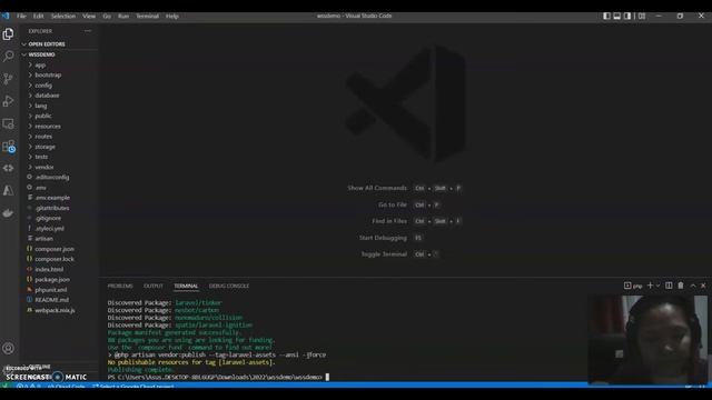 Local setup wss смотреть онлайн
