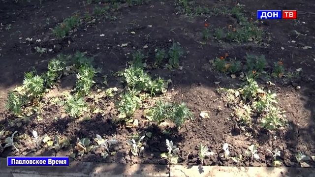 Летние перемены в городе 2019. г. Павловск Воронежской обл. смотреть онлайн