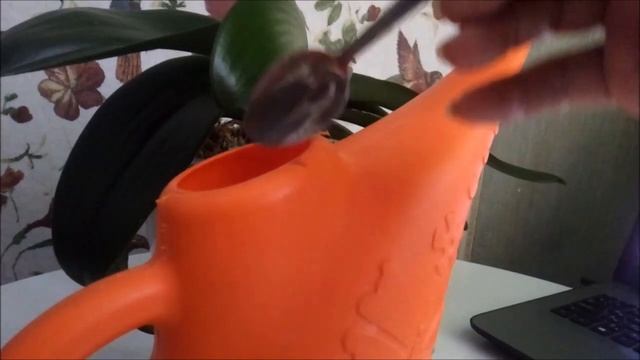 Орхидеи Январь)))Корневин для цветущих орхидей))) Чтобы разбудить корни?))) смотреть онлайн