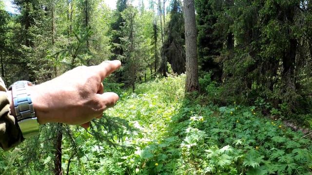Елки, палки, лес густой, ходит Яг-Морт там, при Большой. смотреть онлайн