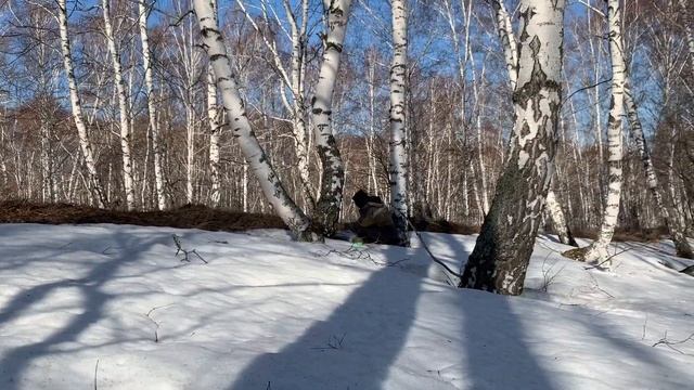 Гараж и Мастерская