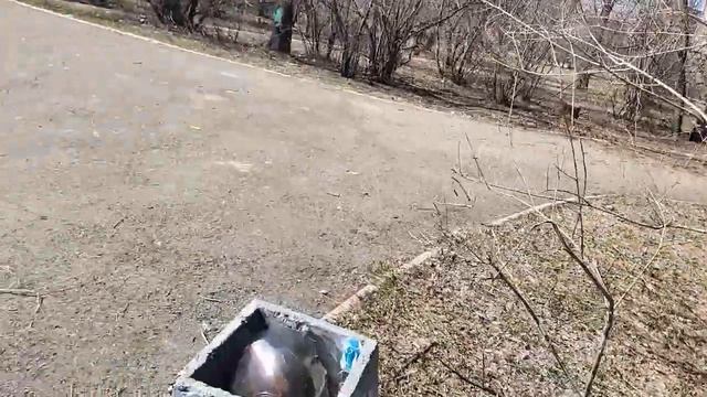 Палисадник возле дома. Весна 2022. смотреть онлайн