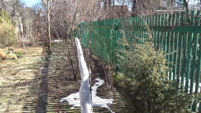 Дача! Выбираем место под теплицу. Чудотеплица "Сибирский Агроном" смотреть онлайн